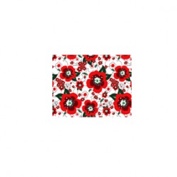 Yeşil Fuşya Kırmızı  CD-0038